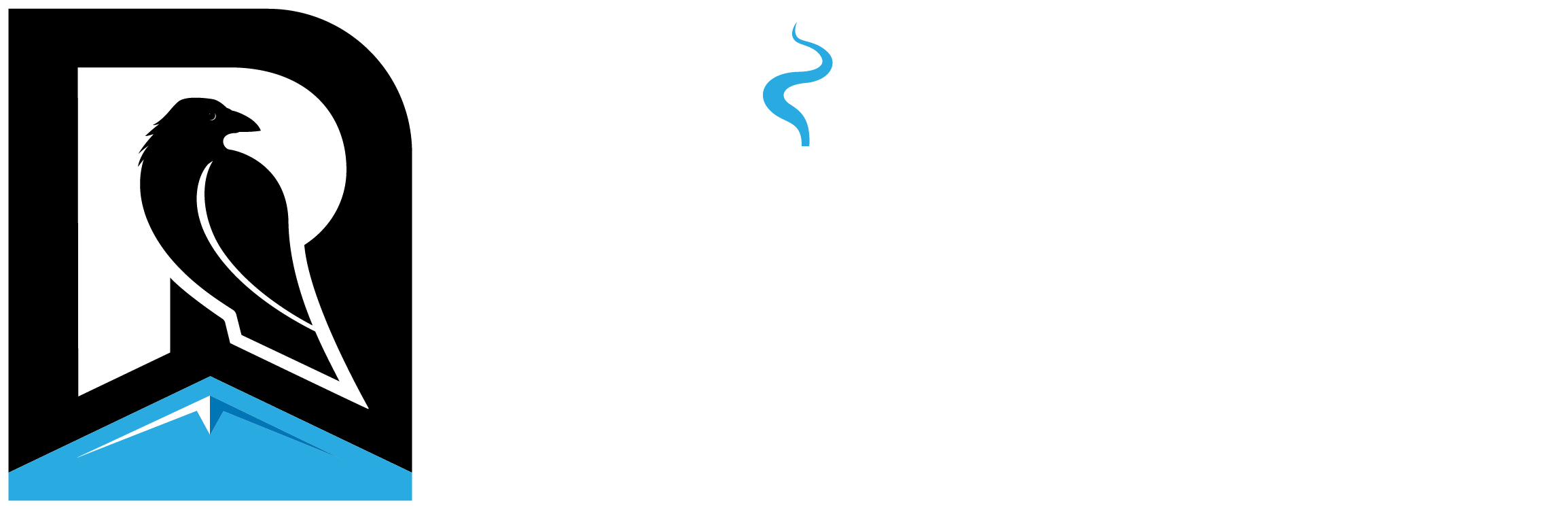 RavenRealEstate_PrimaryLogo_Wide_Reversed